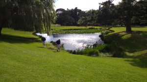 follies-beltonpark2016-2